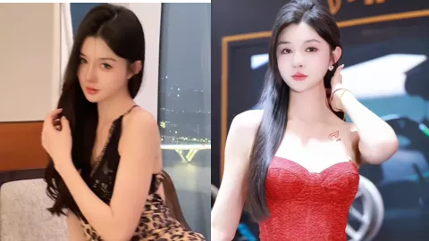 猫大人