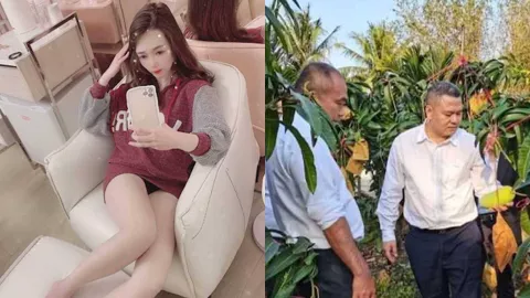 丑闻