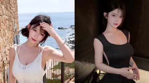 章鱼贼