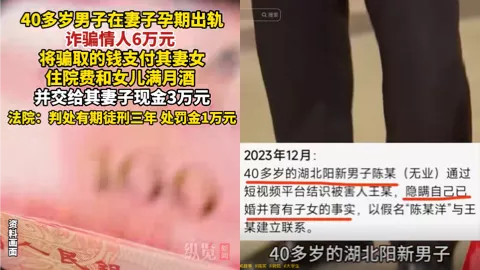 湖北阳新陈某