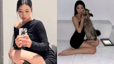 推特网红