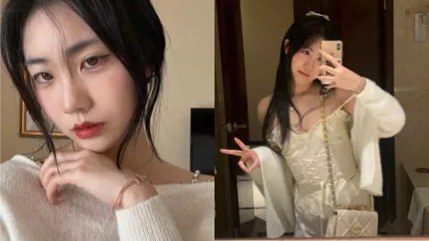 悲伤口袋小狗