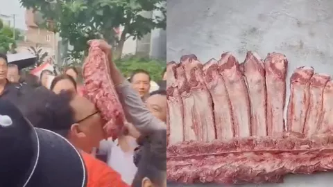 实验学校