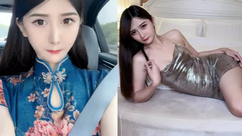 云云猫