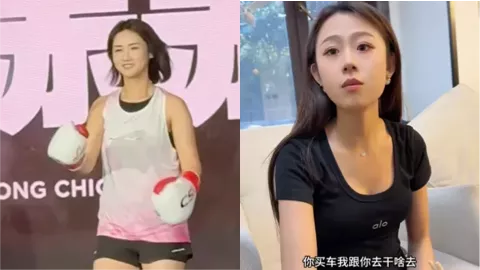 董赤赤