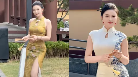 小趴菜