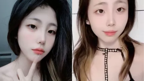 小坏猫