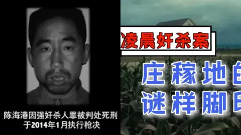河南太康