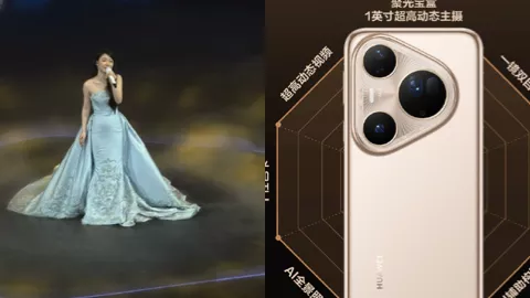 单依纯