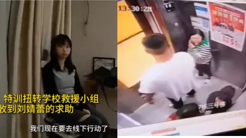 刘静蕾