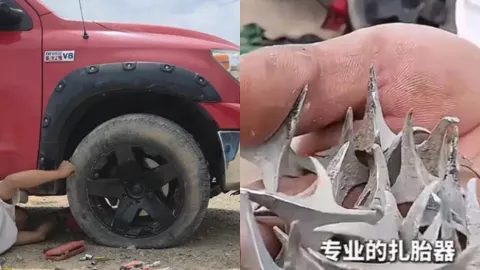 青海扎胎