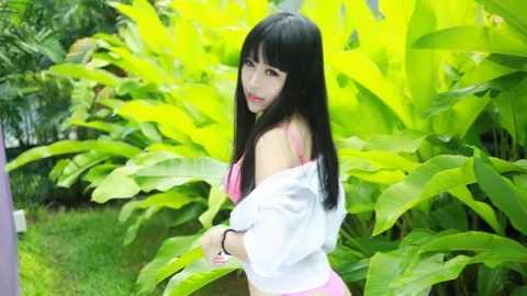 越冬红嘴鸥