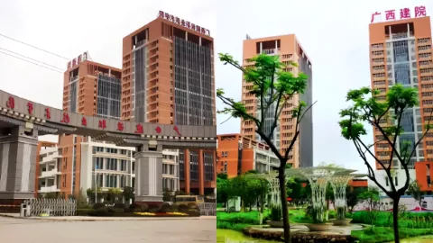 杜若凝