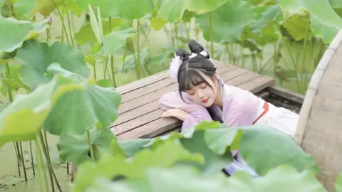 牲畜转场