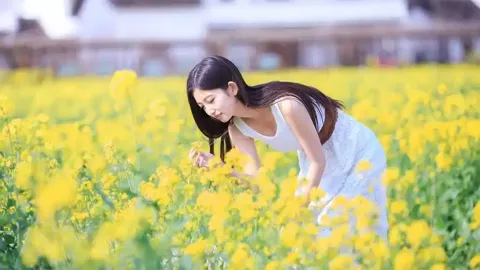 卡德罗夫