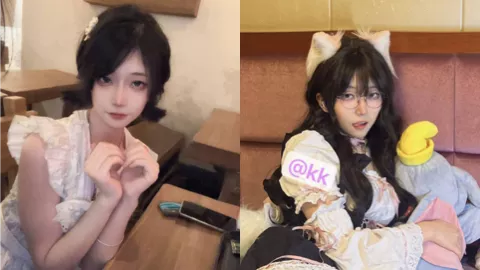 虎皮折耳猫