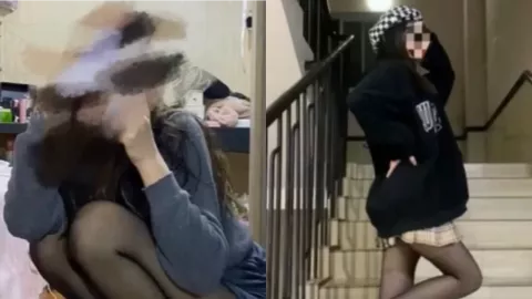 龙凤胎