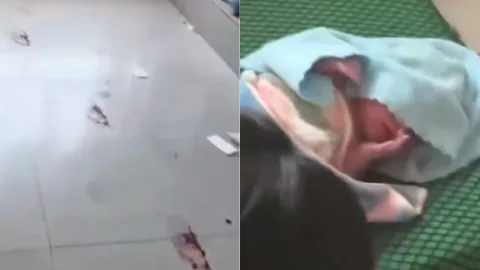 东北高校