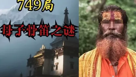 749档案馆