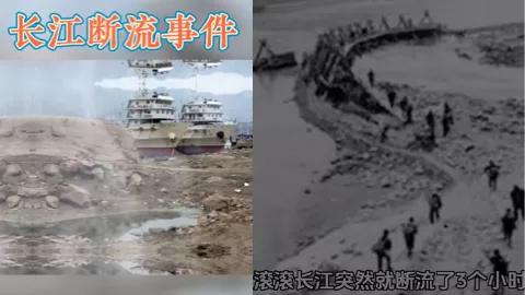 1954年