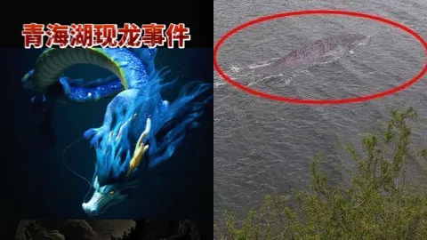 749局揭秘