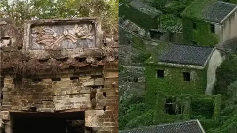 云南龙井村