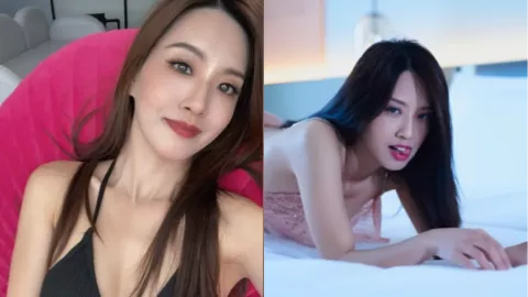 偷心嘚猫