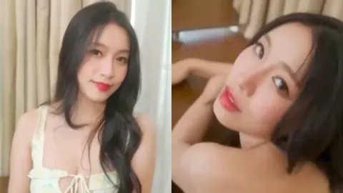 苏畅