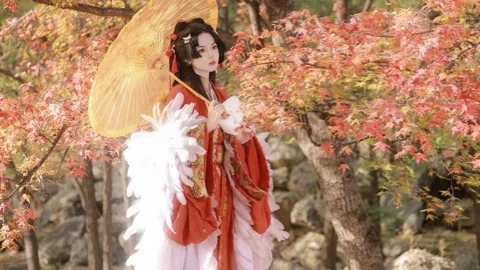 选举投票