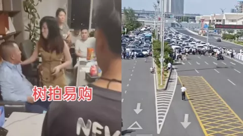 树拍易购