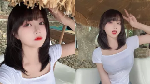 赵丽颖