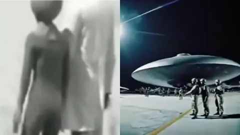 51区禁区