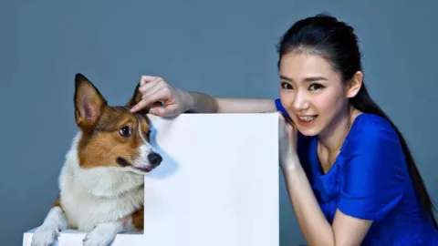 足球队