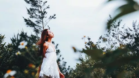 五彩锦簇