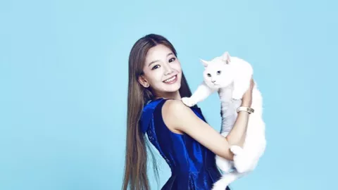 清澈的爱