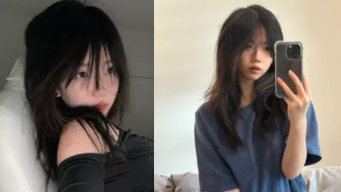 明星