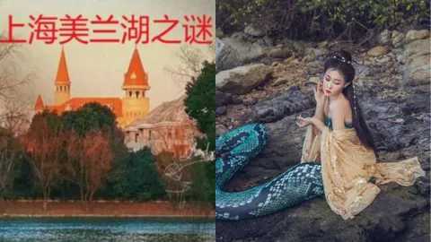 上海美兰湖