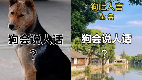 1983年四川
