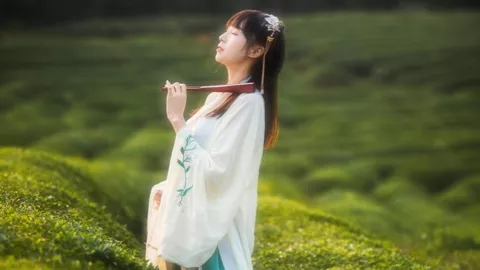 赣菜文化