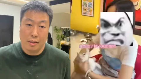 沈阳虐猫事件
