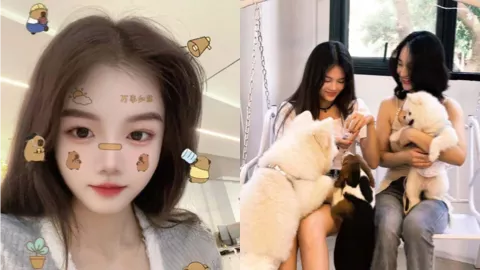 杨若涵