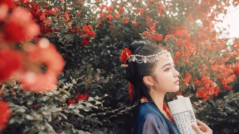 反腐行动