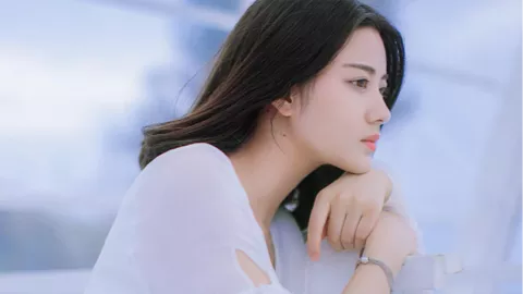 北美赤狐