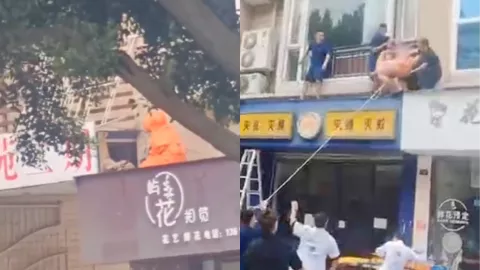 马蜂蛰人