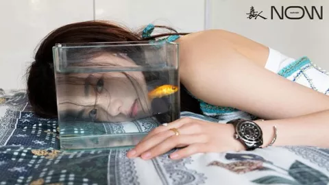 暑期档