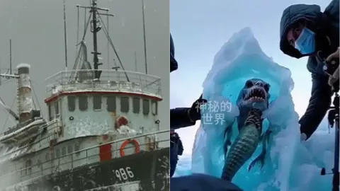 南极海底人