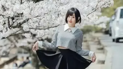日本关税