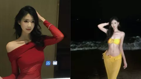张芸芸