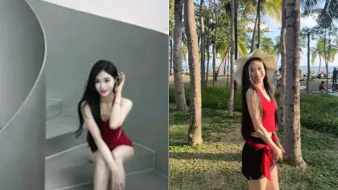刘紫怡