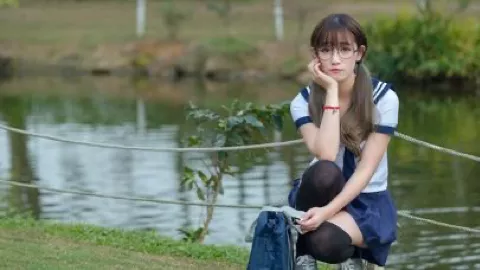 白鹿